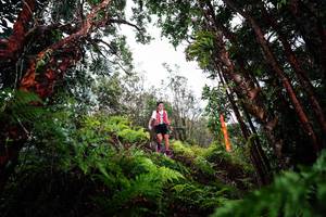 BIB: 
                            <button type="button" onclick="openModal(26202832)" class="btn btn-primary btn-sm float-right btn-popup" data-toggle="modal" data-target=".modal-high-quality">
                        <i class="fas fa-shopping-cart"></i> Add to Cart
                    </button>
                                            <button type="button" onclick="isThisMe(26202832, true)" class="btn btn-success btn-sm float-right btn-popup btn-isme hidden" data-toggle="tooltip" data-placement="bottom" title="นี่คือรูปของคุณใช่ไหม คลิกที่นี่เพื่อเอาเข้าอัลบั้ม">
                        <i class="fas fa-plus"></i> Add to album
                    </button>
                    <button type="button" onclick="isThisMe(26202832, false)" class="btn btn-warning btn-sm float-right btn-popup btn-isnotme hidden">
                        <i class="fas fa-ban"></i> Remove from album
                    </button>